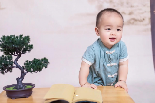 泸州可爱的企鹅宝宝